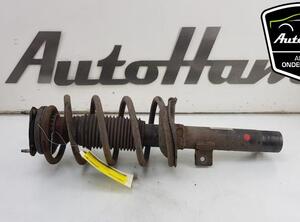 Shock Absorber FORD TRANSIT CONNECT (P65_, P70_, P80_), FORD TRANSIT CUSTOM V362 Van (FY, FZ)