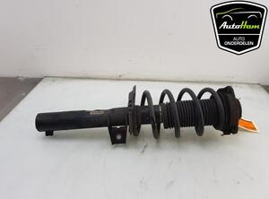 Shock Absorber SEAT ALTEA (5P1), SEAT ALTEA XL (5P5, 5P8), SEAT TOLEDO III (5P2), SEAT LEON (1P1)