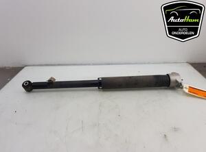 Shock Absorber FORD FIESTA VII (HJ, HF)