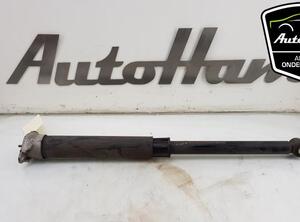 Shock Absorber FORD FIESTA VII (HJ, HF)