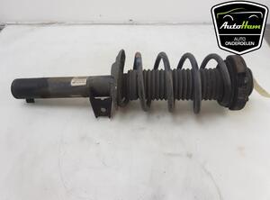 Shock Absorber VW JETTA IV (162, 163, AV3, AV2)