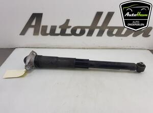 Shock Absorber VW GOLF VIII (CD1)