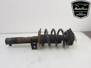 Shock Absorber AUDI TT (8J3)