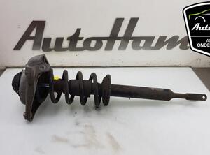 Shock Absorber AUDI A6 (4F2, C6), AUDI A6 Avant (4F5, C6)