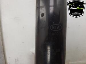 Shock Absorber KIA RIO III (UB), KIA RIO III Saloon (UB)