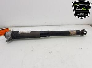 Shock Absorber VW GOLF VIII (CD1)