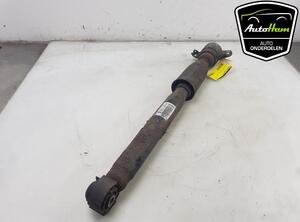 Shock Absorber AUDI Q5 (8RB), AUDI Q5 Van (8RB)