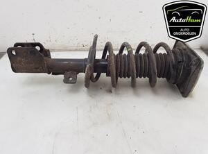 Shock Absorber TOYOTA PROACE Van (MDZ_), TOYOTA PROACE VERSO Bus (MPY_), TOYOTA PROACE Bus (MDZ_)