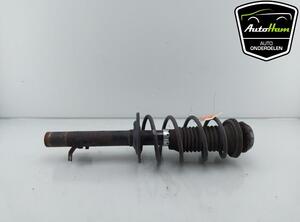 Shock Absorber CITROËN C1 (PM_, PN_), PEUGEOT 107 (PM_, PN_), TOYOTA AYGO (_B1_)