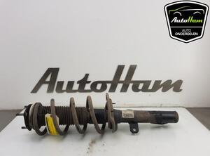 Shock Absorber FORD TRANSIT CUSTOM V362 Van (FY, FZ)