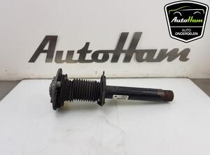 Shock Absorber BMW 3 (F30, F80)