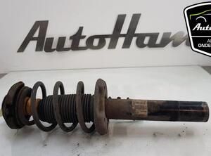 Shock Absorber AUDI TT (8J3)