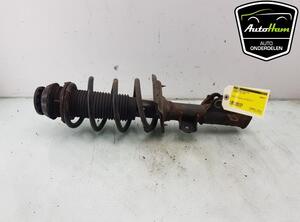 Shock Absorber HYUNDAI i10 II (BA, IA), HYUNDAI i10 III (AC3, AI3)