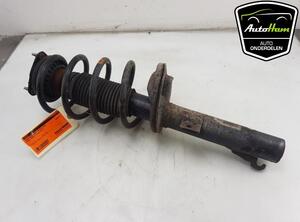 Shock Absorber FORD TRANSIT CONNECT (P65_, P70_, P80_), FORD TRANSIT CUSTOM V362 Van (FY, FZ)