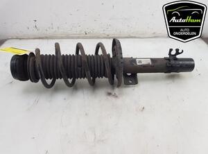 Shock Absorber VW POLO (6R1, 6C1)