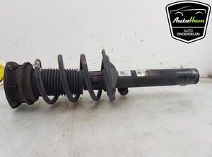 Shock Absorber VW TIGUAN (AD1, AX1), VW TIGUAN ALLSPACE (BW2)