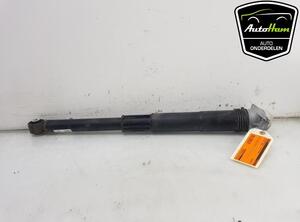 Shock Absorber VW GOLF VII (5G1, BQ1, BE1, BE2), SEAT LEON ST (5F8), SEAT LEON (5F1)