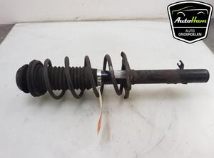 Shock Absorber PEUGEOT 107 (PM_, PN_), TOYOTA AYGO (_B1_), CITROËN C1 (PM_, PN_)