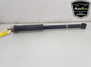 Shock Absorber RENAULT CLIO V (B7_)