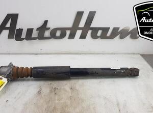 Shock Absorber AUDI Q3 (8UB, 8UG)