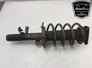 Shock Absorber FORD FOCUS III Turnier, FORD C-MAX II (DXA/CB7, DXA/CEU)