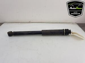 Shock Absorber SUZUKI SWIFT V (AZ)