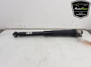 Shock Absorber VW TIGUAN (AD1, AX1), VW TIGUAN ALLSPACE (BW2)