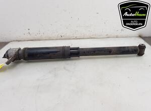 Shock Absorber FORD KUGA III (DFK)