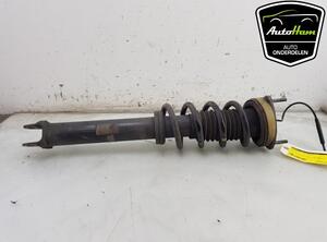 Shock Absorber PORSCHE 911 (991), PORSCHE 911 Convertible (991)