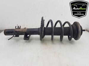 Shock Absorber VW TRANSPORTER VI Van (SGA, SGH, SHA, SHH)