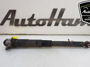 Shock Absorber VW TIGUAN (AD1, AX1), VW TIGUAN ALLSPACE (BW2)