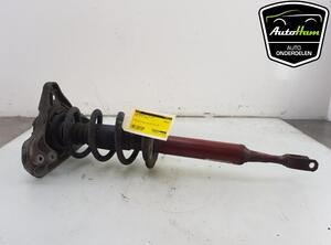 Shock Absorber AUDI A4 Avant (8ED, B7)