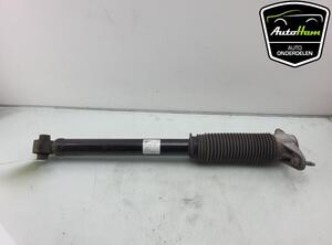 Shock Absorber TESLA MODEL 3 (5YJ3)