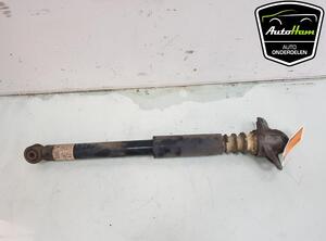 Shock Absorber VW TIGUAN (5N_)