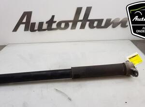 Shock Absorber FORD FOCUS III