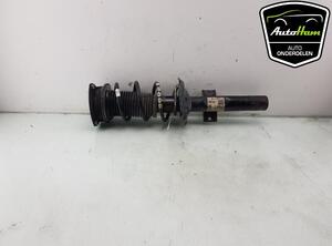 Shock Absorber SEAT IBIZA V (KJ1, KJG)