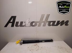 Shock Absorber SKODA SCALA (NW1)