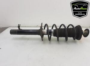 Shock Absorber PEUGEOT 107 (PM_, PN_), CITROËN C1 (PM_, PN_), TOYOTA AYGO (_B1_)