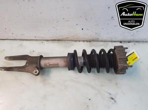 Shock Absorber PORSCHE PANAMERA (970)