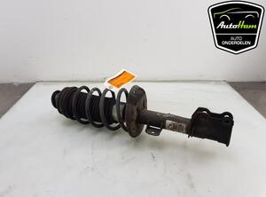 Shock Absorber FIAT GRANDE PUNTO (199_), FIAT PUNTO (199_), FIAT PUNTO EVO (199_)