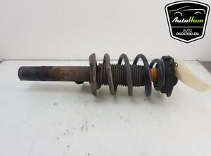 Shock Absorber AUDI TT (8J3)