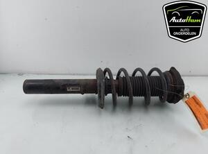 Shock Absorber VW GOLF PLUS (5M1, 521), VW SCIROCCO (137, 138), VW GOLF V (1K1), VW GOLF VI (5K1)