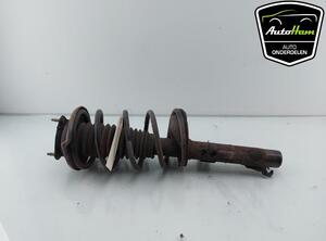 Shock Absorber FORD FOCUS (DAW, DBW), FORD FOCUS Turnier (DNW)