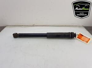 Shock Absorber SUZUKI SWIFT V (AZ)