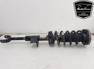 Shock Absorber BMW 5 Touring (G31)