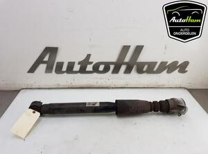 Shock Absorber AUDI Q5 (8RB), AUDI Q5 Van (8RB)