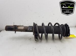 Shock Absorber FORD C-MAX II (DXA/CB7, DXA/CEU)