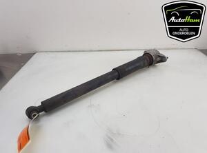 Shock Absorber MERCEDES-BENZ B-CLASS (W246, W242)