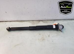 Shock Absorber SKODA OCTAVIA IV Combi (NX5)