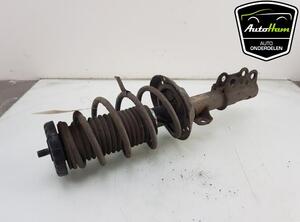 Shock Absorber CHEVROLET AVEO Hatchback (T300)